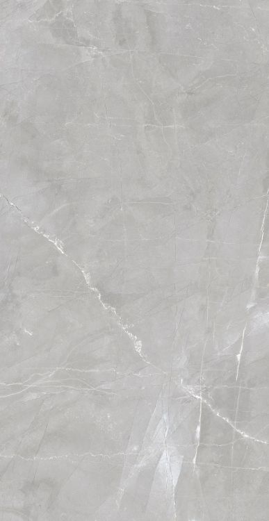 Luxury Amani Grey Matte 24 x 48
